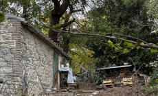 Avvocato  della famiglia del bosco, 'rimetto il mandato'