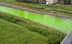 Protesta contro la "crisi climatica":  l'acqua della Parma tinta di verde fluo - Le foto - Video