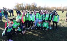 La carica dei 500 per la 10&ordf; edizione della corsa campestre targata Montanari&Gruzza - Foto