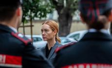 495 codici rossi  dall'inizio dell'anno  a Parma e provincia, 27 arresti e oltre 416 denunce: tutti i dati dei carabinieri