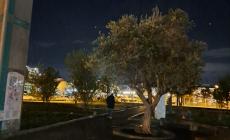 Il buio oltre... il parcheggio (via Volturno) delle torre delle Medicine - Le foto