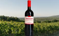 Bolgheri Superiore DOC  Grattamacco 2022: Vendemmia numero 40 per un vino iconico, balsamico ed elegante