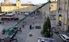 L'albero di Natale &egrave; arrivato in piazza Garibaldi: accensione l'8 - Foto