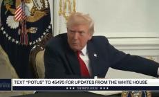 "Ma sei stupida?" Sei una persona stupida? Sei una persona stupida&raquo;. Trump insulta una giornalista- Video