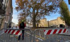 Strada Garibaldi chiusa per la potatura del platano monumentale - Foto