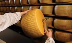 Parmigiano reggiano: al via la battitura del primo lotto di forme prodotte nel 2025, protagonista della nuova campagna “momenti iconici” 