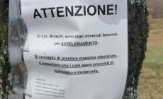 Resta ancora l'allarme bocconi avvelenati a Varsi, in località Bruschi - Foto