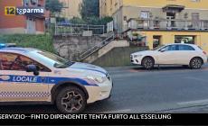 Anziana travolta da un'auto a Fornovo: condizioni critiche - Video