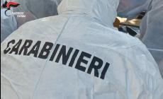 Aveva fumato una sigaretta e lasciato il mozzicone sul balcone dell'appartamento svaligiato: 38enne straniero identificato grazie al Dna e denunciato per furto