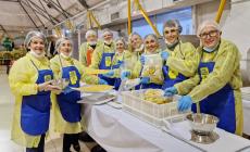  Anolini solidali: dove trovarli? 