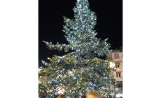 Fidenza si illumina: acceso albero di Natale e luminarie