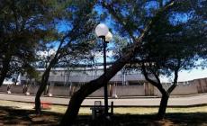 Aggredisce l'arbitro 15enne, Under 16 sospeso dalla societ&agrave;