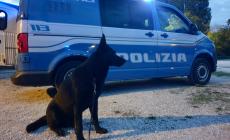 Sventato un furto in una villa in zona Montanara. Due arresti per spaccio, un'auto rubata restituita al proprietario
