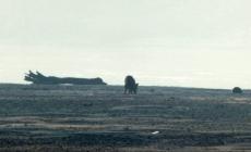 Il Po in secca come in estate