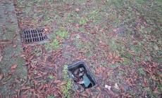 Pericolo per i bambini al parco Corazza - Foto