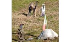 Pellegrino,  allestito il presepe in via primo Maggio - Video