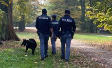  Sicurezza e controlli: oltre 1000 persone identificate, 16 denunce e un'espulsione