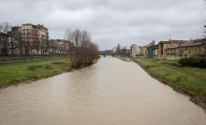 La Parma s'ingrossa, ma per il momento non preoccupa - Foto