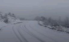 Natale con la neve a Tizzano, Monchio e Palanzano. 20 cm a Schia. Pioggia in citt&agrave;. Ma gi&agrave; da oggi c'&egrave; il sole - Video