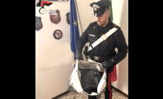 Individuati e denunciati gli altri due membri della "banda" dei furti di lusso