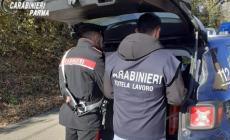 Aveva due dipendenti "in nero": commerciante di Salsomaggiore denunciato, multe per oltre 12mila euro 