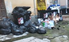 La segnalazione di una lettrice: "Abbandono di rifiuti cronico a Salsomaggiore, ci sono topi e rischi per la salute" - Foto 