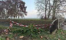 Trovata una bomba a mano a Frassinara: intervengono gli artificieri 