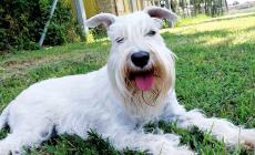 Blanca, dalle gare di bellezza all'adozione di una famiglia