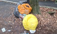 Rifiuti abbandonati a Salsomaggiore, degrado e maleducazione - Foto