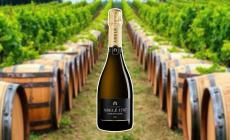 Abel&eacute; 1757 Champagne Brut: fragrante e semplice dal perlage filante. Morbido al palato