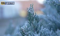  Gelo nel Parmense: minime fino a meno 10 gradi in Appennino. Miglioramenti in vista - Video