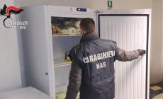 Raffica di controlli dei Nas durante le feste: tre pasticcerie (due nella Bassa e una in Valtaro) e una gelateria sanzionate