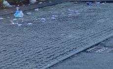 Sporcizia davanti alla scuola d&rsquo;infanzia Santa Margherita - Foto