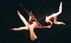 Pietro Ronchini: la perfezione dell'attimo fuggente