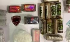 Parma, la camera del B&b in centro trasformata in una magazzino della droga: sequestrati 4 chili  tra hashish e coca, 26enne arrestato - Video