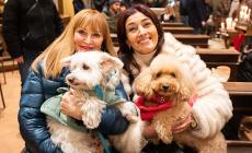 Tradizionale benedizione degli animali in Sant'Antonio - Le foto