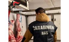 Sequestrata una tonnellata e mezza di carne  scaduta in una macelleria della Pedemontana e sospeso il laboratorio di produzione