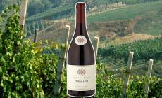 Pierre Andr&eacute; Pommard 2018, un bel rosso rubino, frutta matura al naso  e vellutato al sorso

