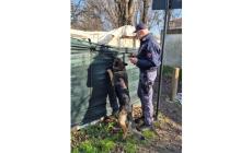 "Operazione Parma sicura": droga e coltelli sequestrati, arresti e ladri "bloccati" - Video