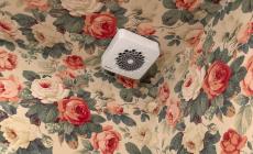 Colapesce a Parma con la mostra fotografica &ldquo;Doppia Uso Singola&rdquo; 