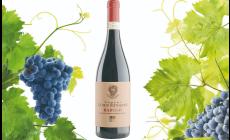 Poderi Luigi Einaudi Barolo Ludo 2021, rosso di gran classe dalla beva immediata e dal sorso elegante

