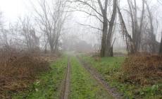 Cadavere trovato nella golena del Po: area dissequestrata, inquirenti al lavoro per identificare il corpo 