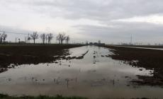 Nuovi allagamenti e torrenti ingrossati nella Bassa