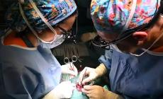  L'ospedale Monaldi: "Bimbo trapiantabile, &egrave; in lista nazionale"