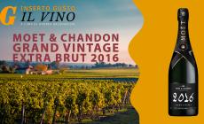 Moet & Chandon Grand Vintage Extra Brut 2016: la recensione
