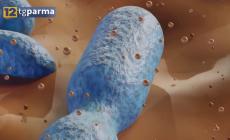 Intossicazione da botulino, 42enne ancora in Rianimazione - Video