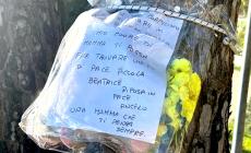 Bimba morta: sul suo corpo l'impronta parziale di una scarpa