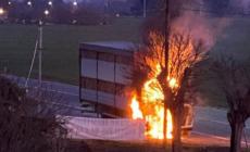Si incendia un camion di fieno in via Emilia: intervento dei vigili del fuoco e traffico in tilt a Rimale - Video