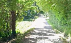 Auto si ribalta a Tizzano: feriti tre giovani 