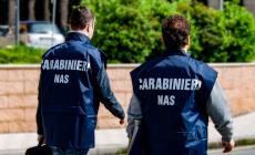 I Nas di Parma hanno sospeso un&rsquo;attivit&agrave; di tatuaggi e piercing per gravi carenze igienico-sanitarie